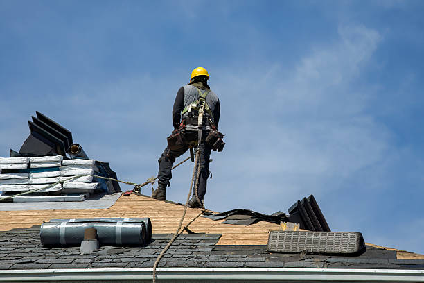 Professional Roofing technician working in Quebeck, TN